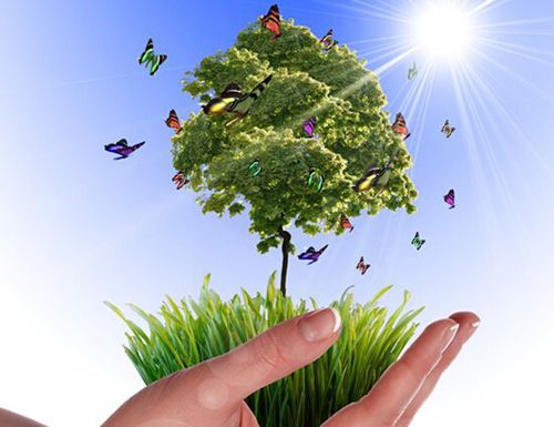 1508982096450442.jpg 鹽田率先構(gòu)建 GEP核算體系和碳幣體系.jpg