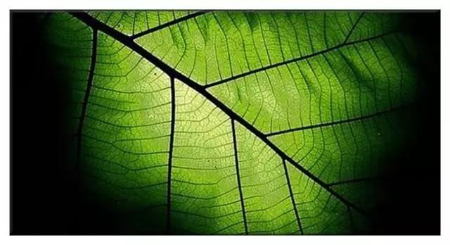 1514166106345438.jpg 6.jpg